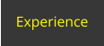 Experience