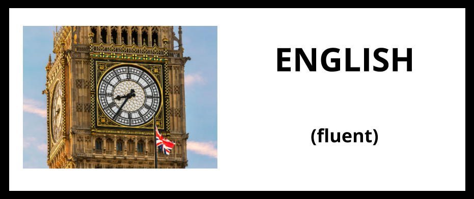 ENGLISH (fluent)